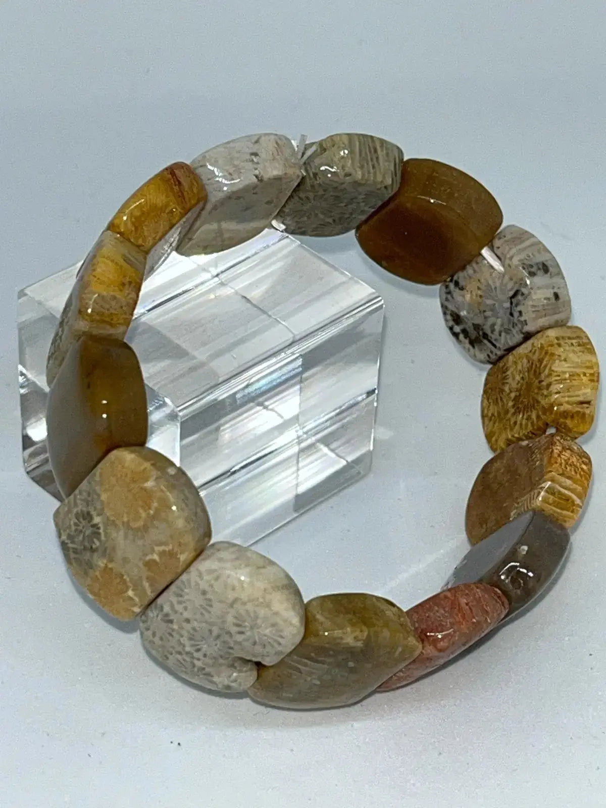 Bracelet Corail fossilisé