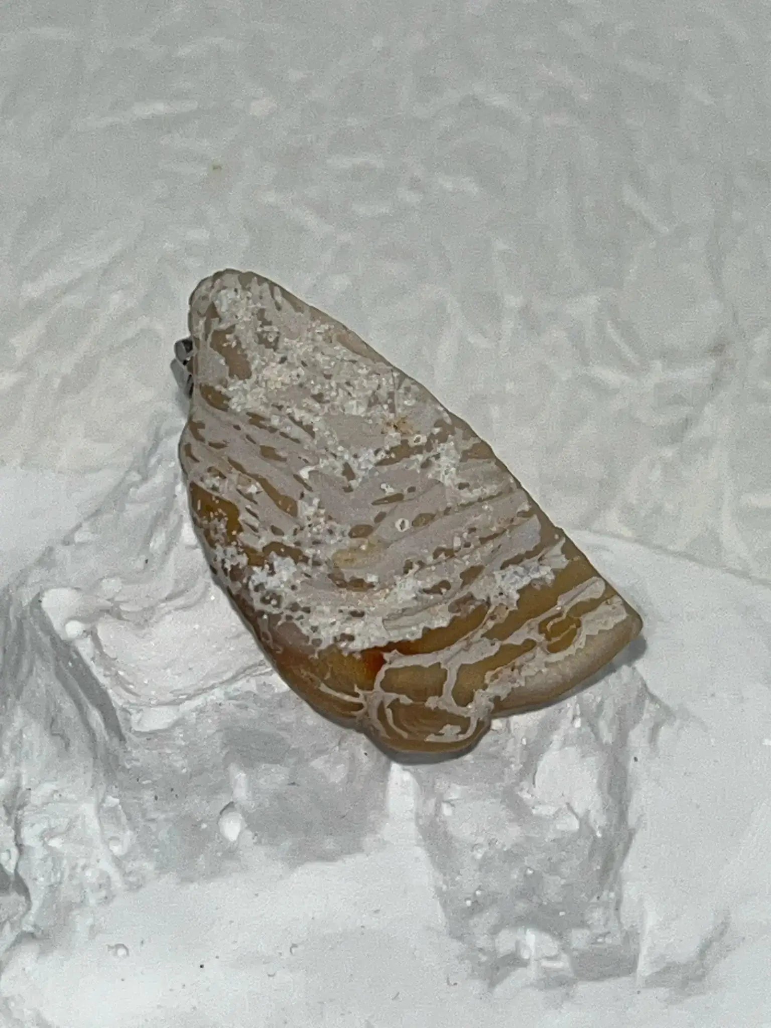 Pendentif Agate drusé