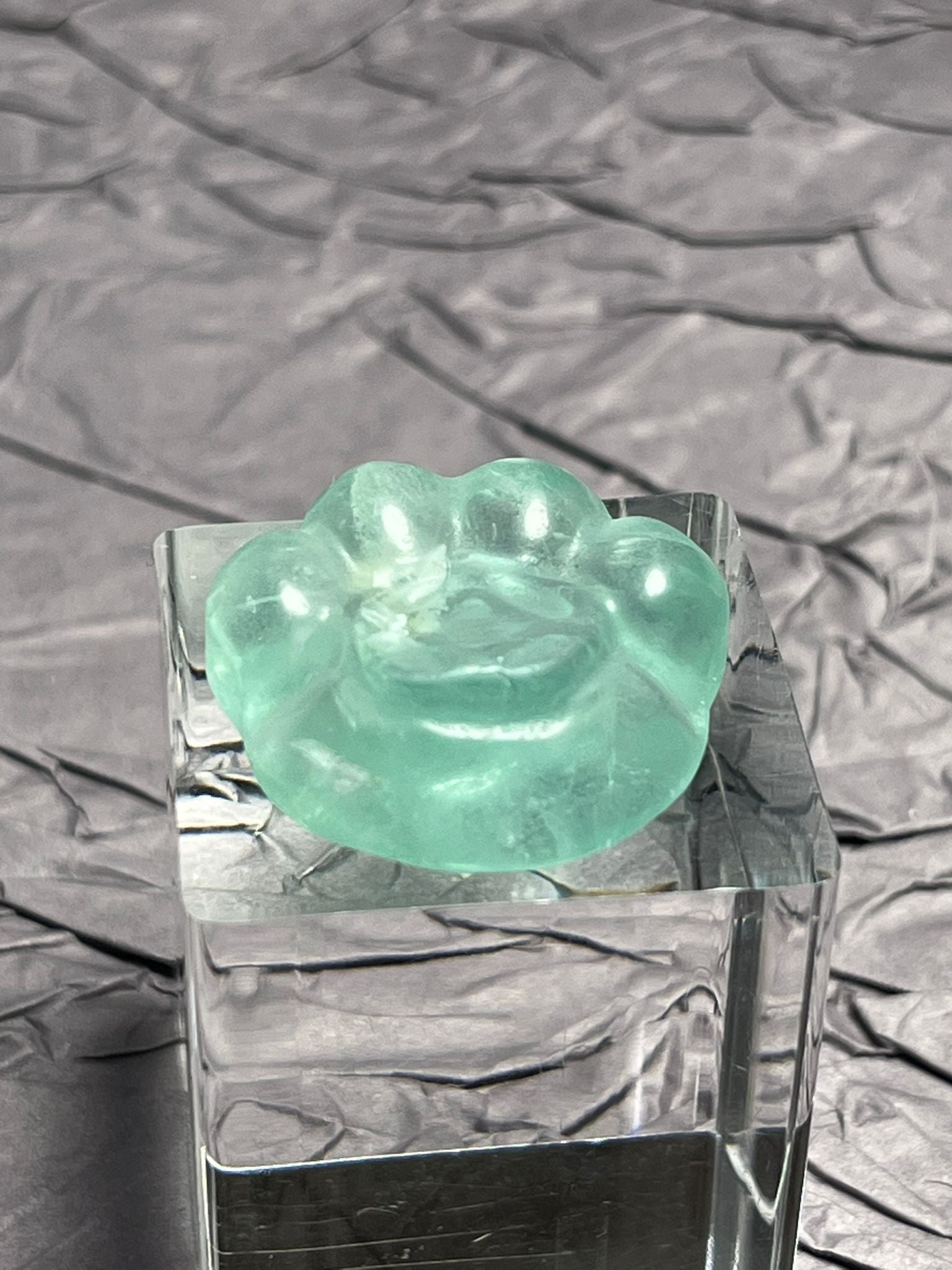 Patte de Chat en Fluorite (Cabochon)