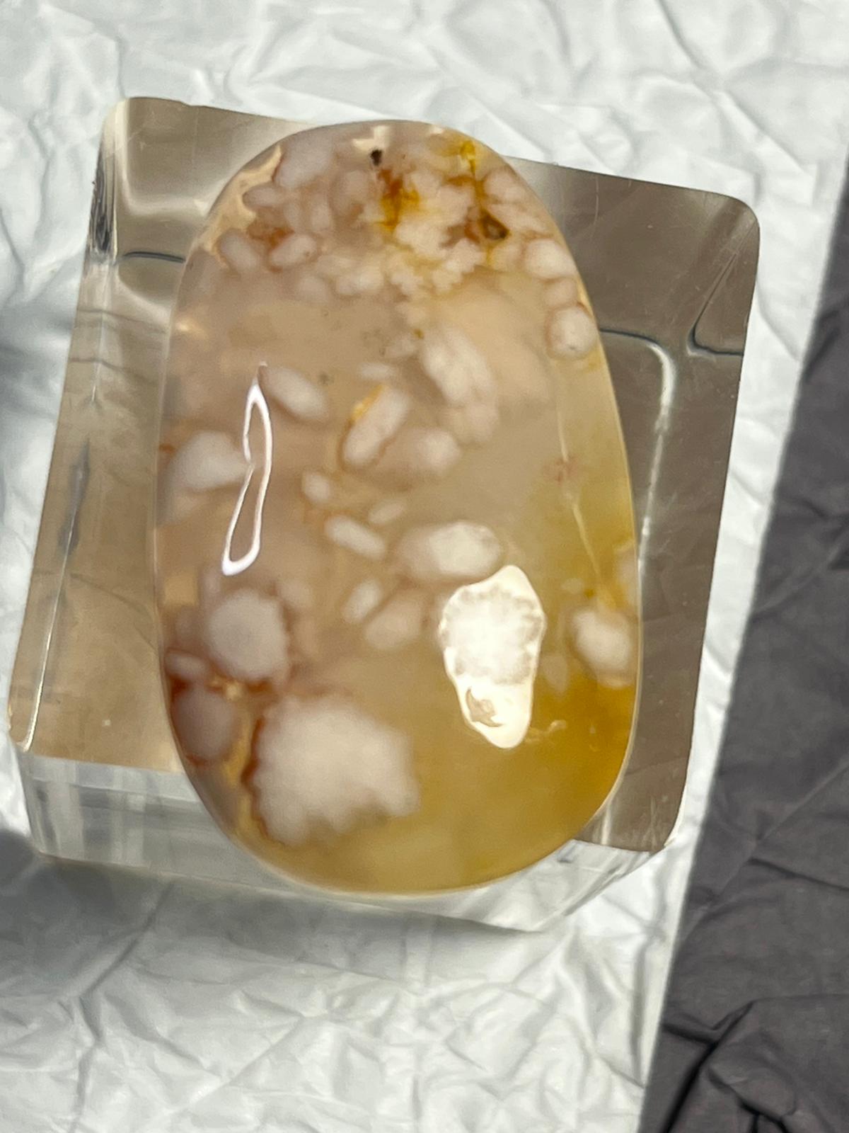 Cabochon Agate Fleur