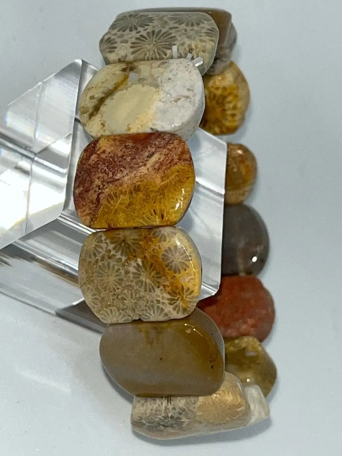 Bracelet Corail fossilisé