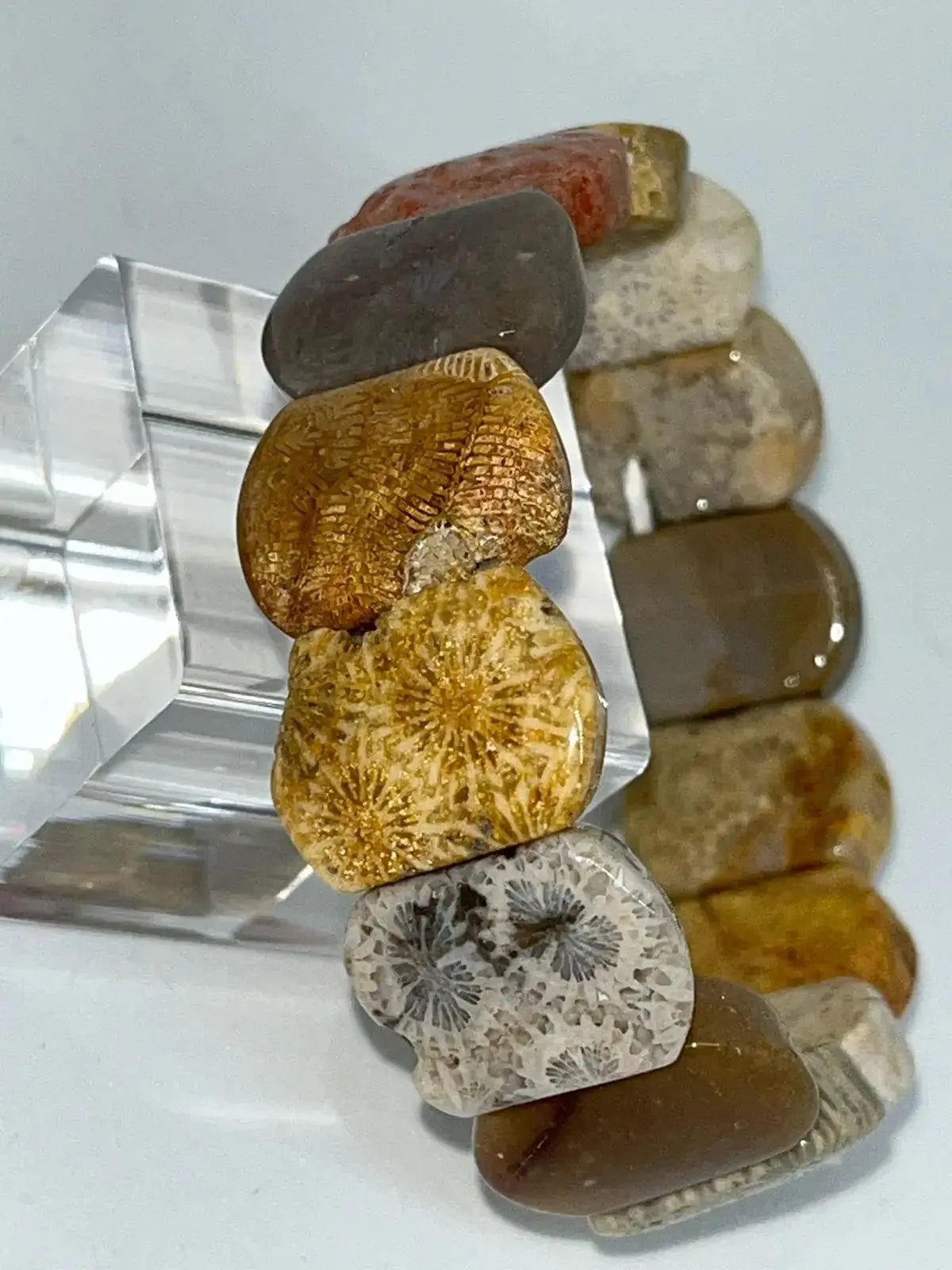 Bracelet Corail fossilisé