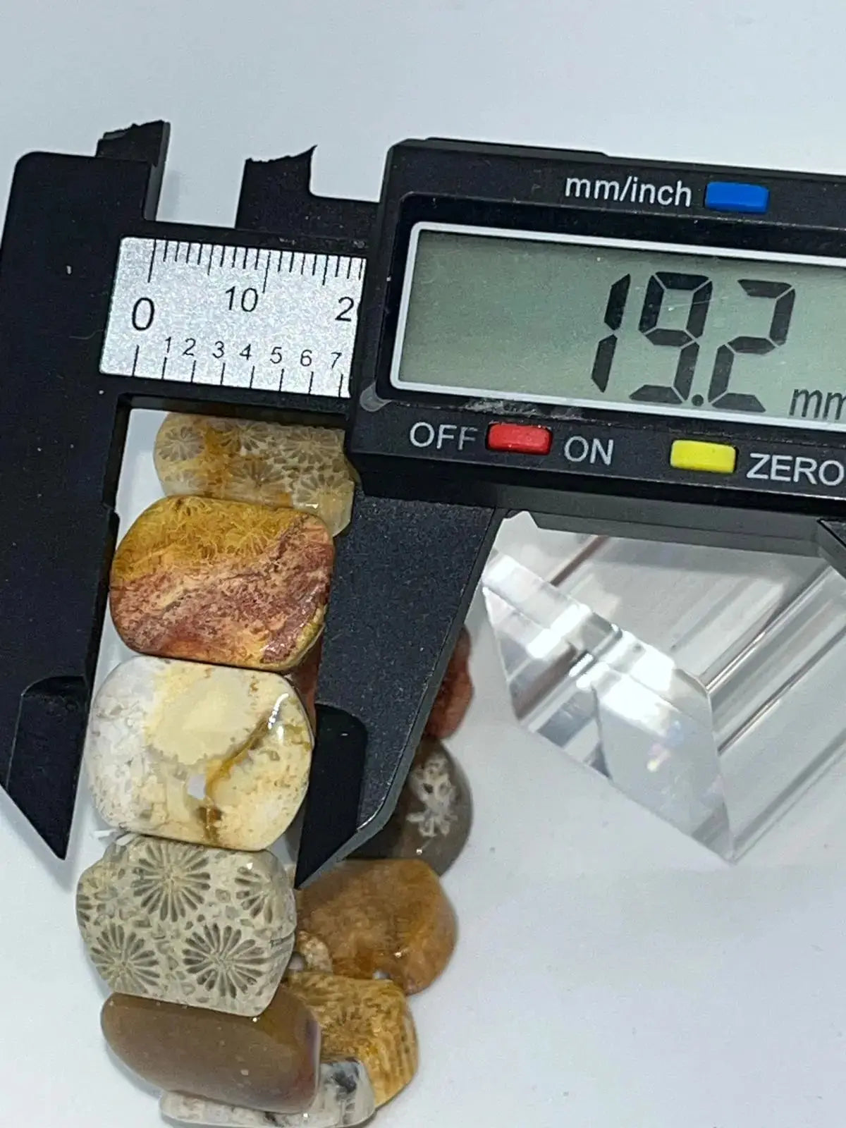 Bracelet Corail fossilisé